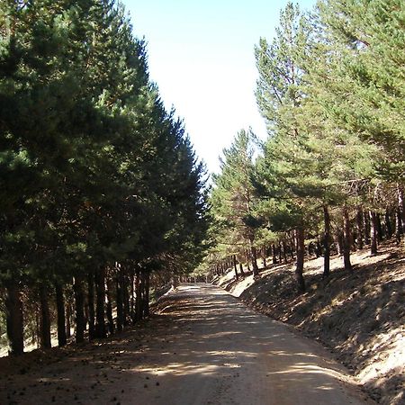 Hostal Rural Poqueira Capileira Esterno foto