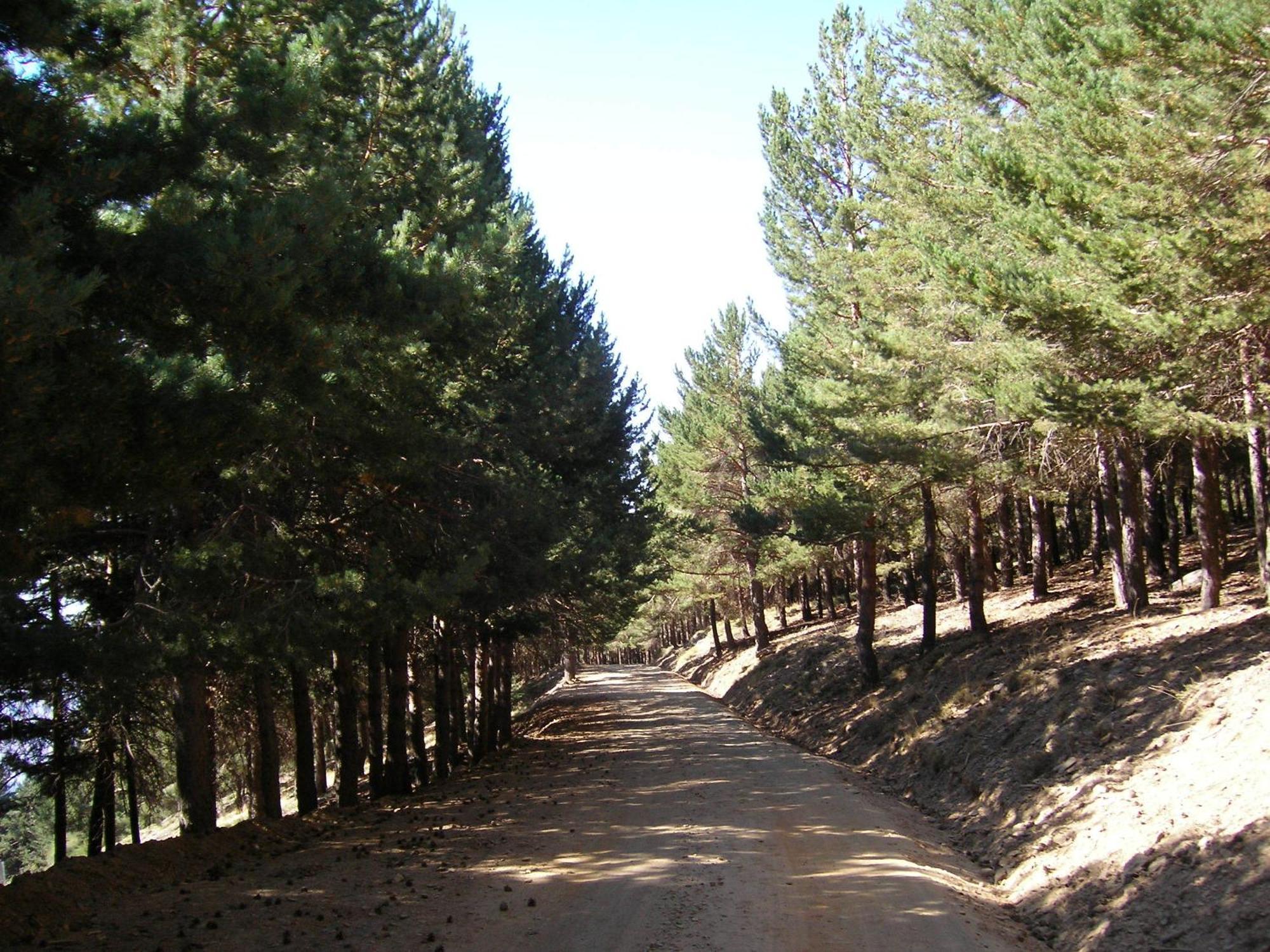 Hostal Rural Poqueira Capileira Esterno foto
